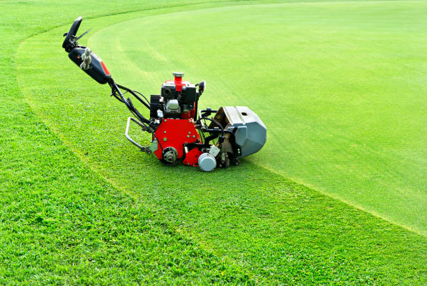 Lawn raking machine cheap